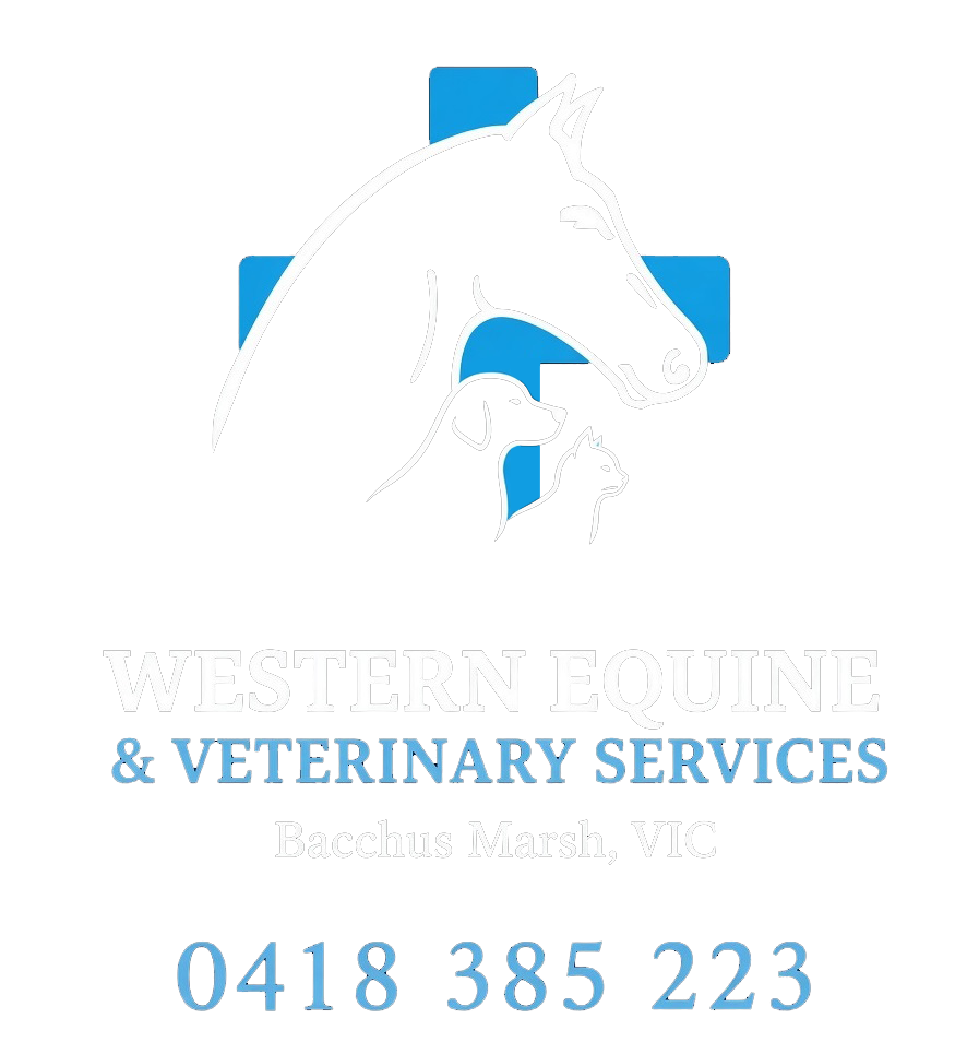 Western Equine Veterniary Services Logo
