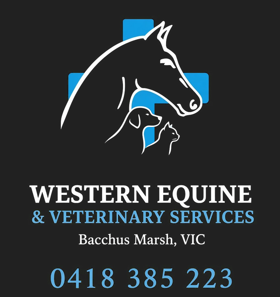 Western Equine Veterniary Services Logo